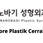 BANOBAGI Plastic Surgery (바노바기성형외과) – Kore Plastik Cerrahi Bilgisi