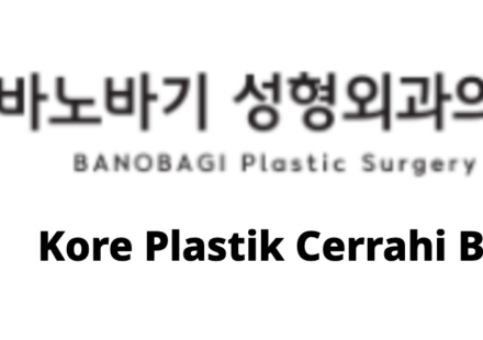 BANOBAGI Plastic Surgery (바노바기성형외과) – Kore Plastik Cerrahi Bilgisi